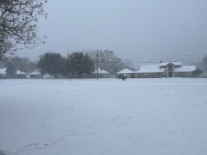 Image2