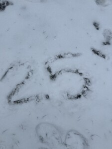Image0 3